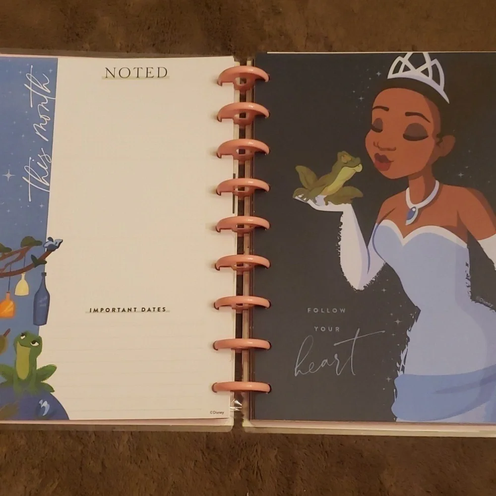 Disney Princess undated planner. New